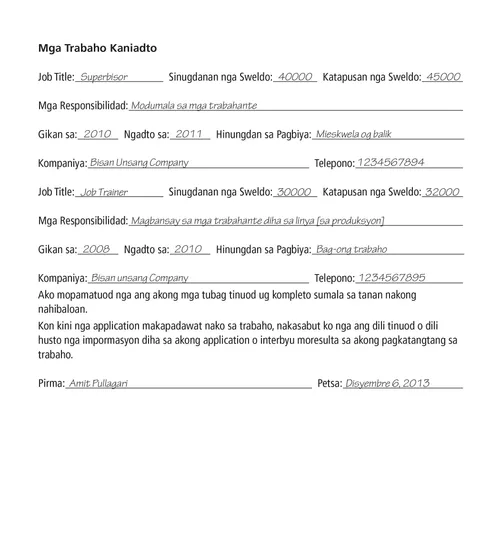 application example page 2