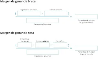 Margen de ganancia bruta y margen de ganancia neta de un mes