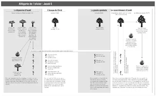 allégorie de l’olivier