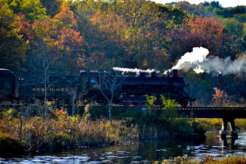 男青年在打橄欖球