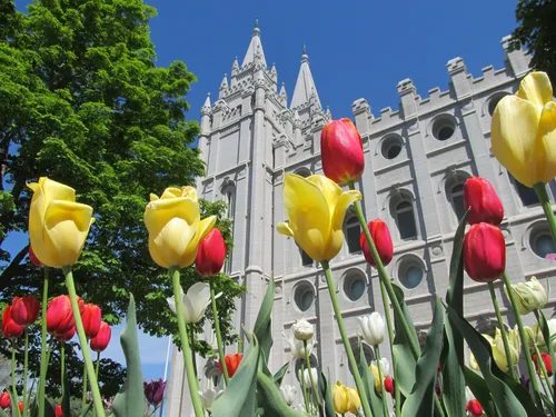 Salt Lake Temple