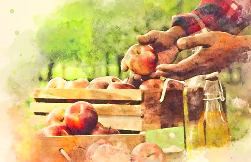 illustration of hands holding an apple