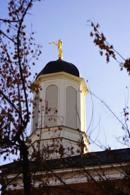 The Vernal Utah Temple spire, framed by branches of a tree.