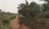 sedrick riding bike with bananas on dirt road