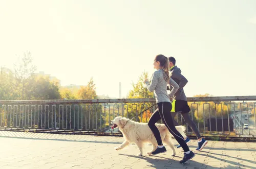 Couple jogging with dog