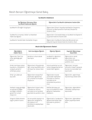 Örnek Ders-Planlama Taslağı