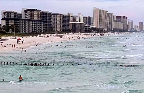 Swimmers creating a human chain