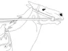 drawing, horse with reins