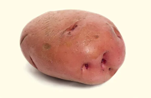 potato