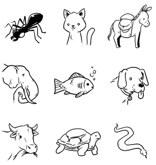 grid of illustrated animals