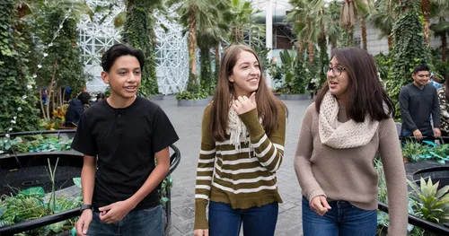 Young men and young women walk through Crystal Gardens at Navy Pier in Chicago