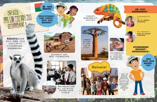 來自馬達加斯加的問候