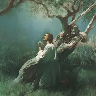 Jesus suffers in the Garden of Gethsemane
