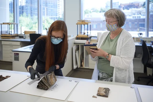 Church History curator employee inspect contents of time capsule laid out on tables. The contents are from a time capsule from the Salt Lake Temple.
