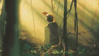 Joseph Smith Jr. kneeling in the Sacred Grove during the First Vision as shafts of light shine through the trees.