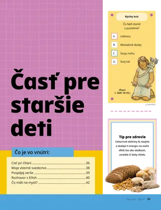PDF formát príbehu