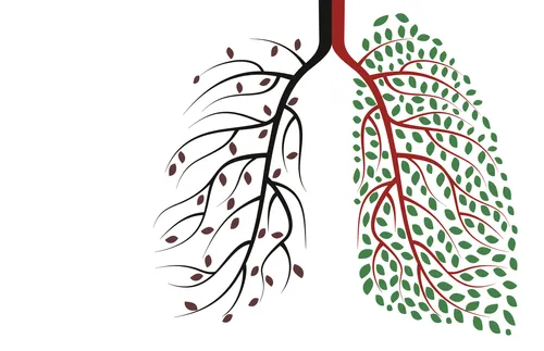 illustration of lungs