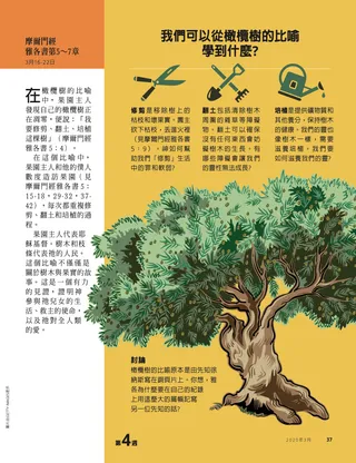 我們可以從橄欖樹的比喻學到什麼