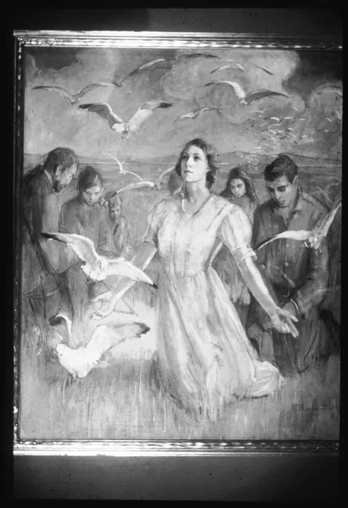 pioneers and seagulls