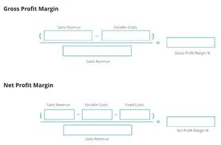 Gross profit margin and net profit margin for one month