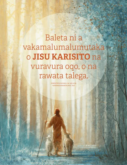 Tikidua ni vosa cavuti nei Nelson 