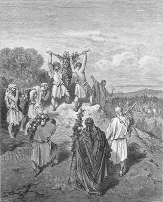 spies reporting to Moses