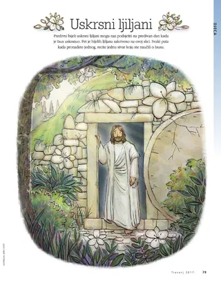 Easter lilies activity