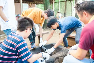 Japan: Young Men Camping Trip