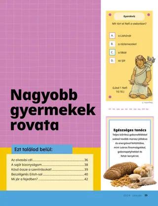 Történet PDF-je
