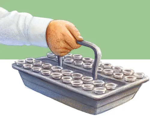 Panel 1 of 3 1. Boy’s hand holding sacrament tray. 2. Two boys sitting next to each other on church bench. One boy is smiling and talking to the other. 3. A young man is passing the sacrament to an elderly couple. He is being reverent. The elderly man is taking the sacrament with his right hand. The elderly woman has her head bowed, arms folded and eyes closed.