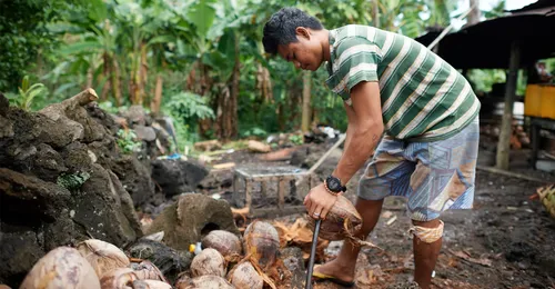 boy husking coconut