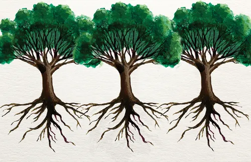 Intertwining roots and branches