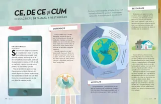 a breakdown of the restoration 1