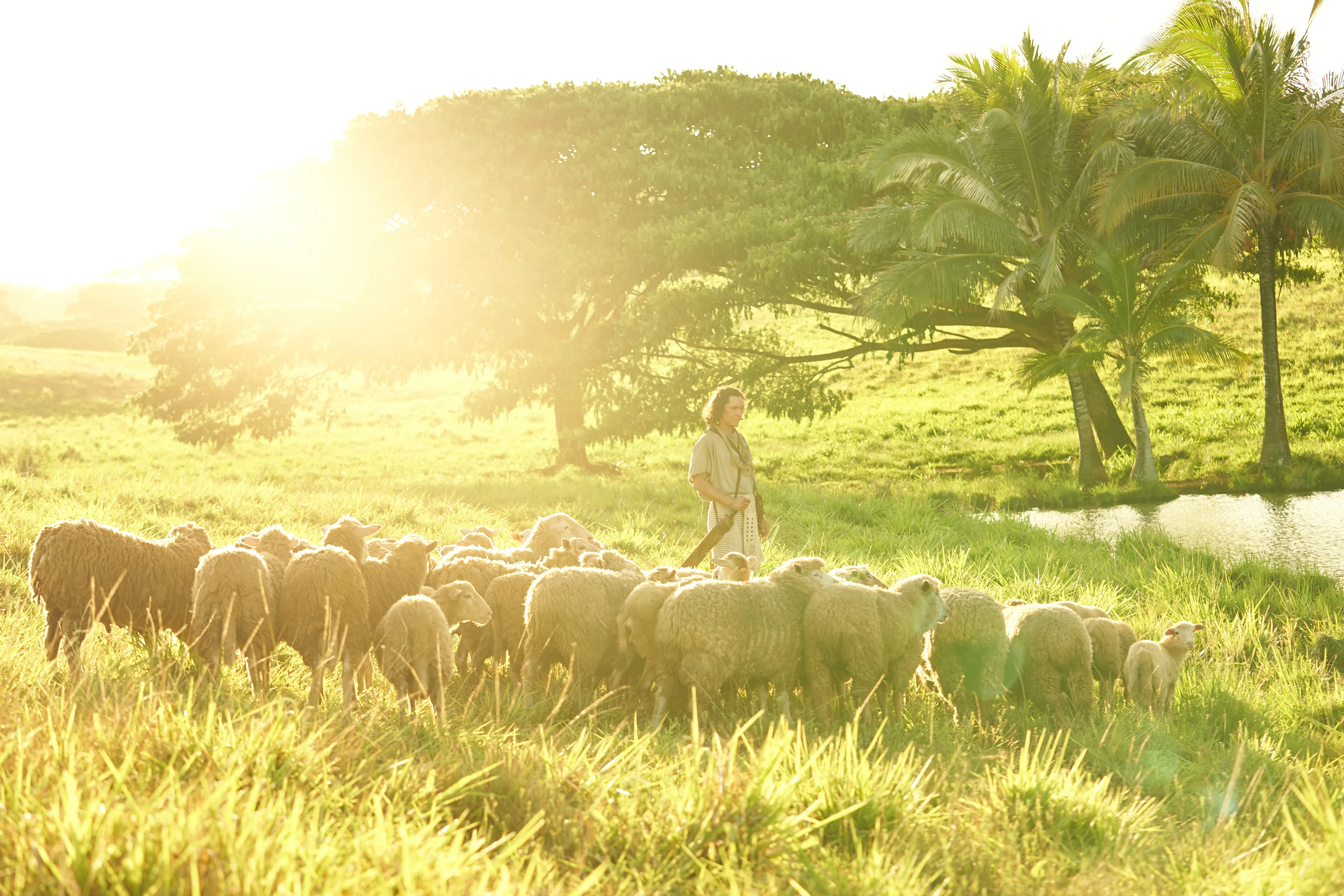 Ammon, son of Mosiah, watches the flocks with the servants of King Lamoni in the land of Ishmael.