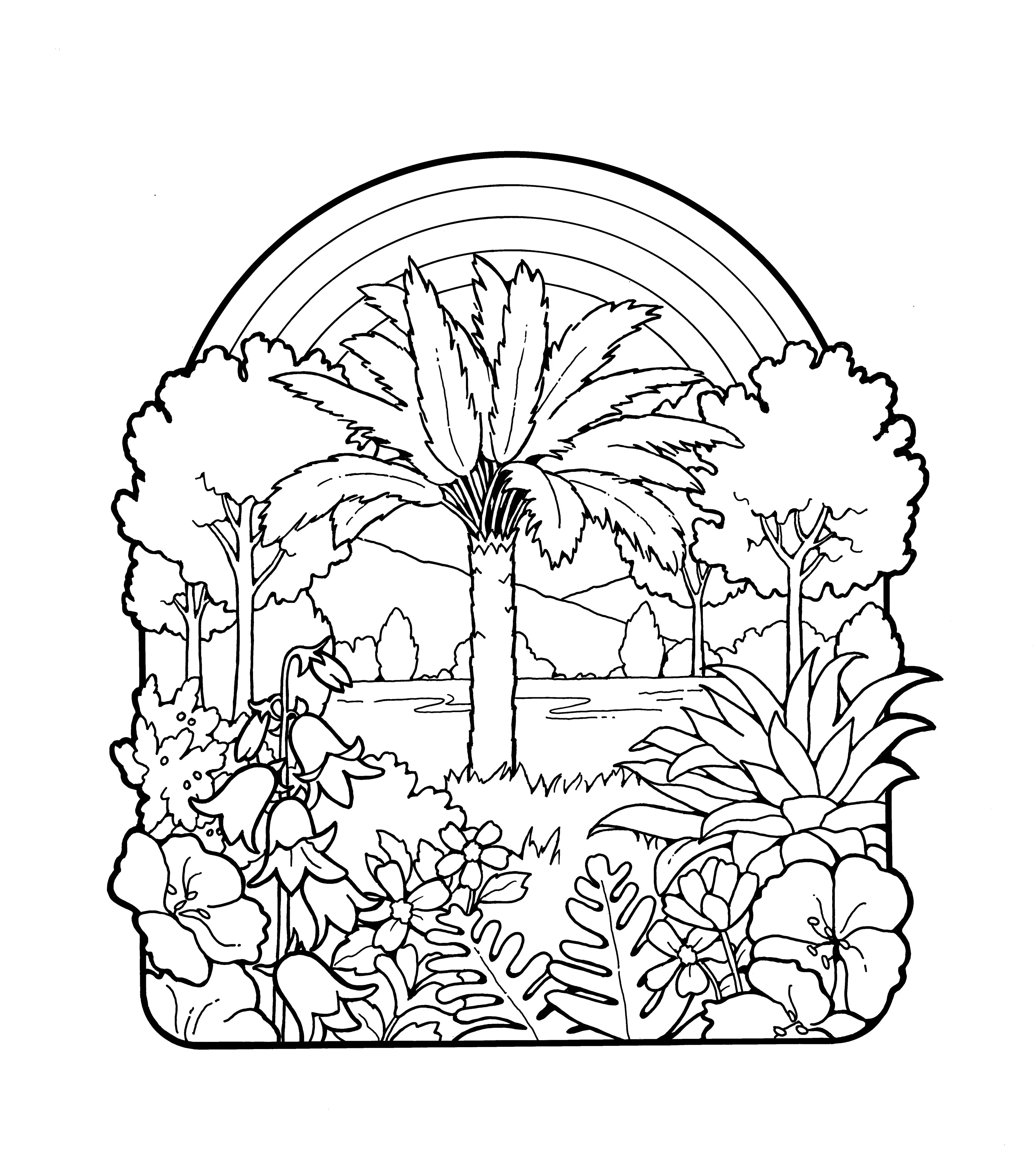 An illustration of plants and a rainbow.