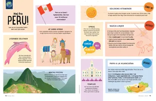 Historien som PDF-fil