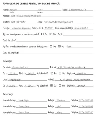 application example page 1