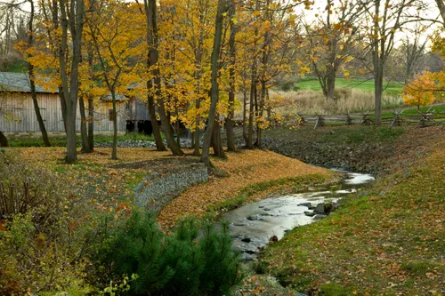 a stream running through the foreground in an autumn scene with an old wooden building in the distance