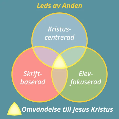 illustration av Andens vägledning av lärandeupplevelsen