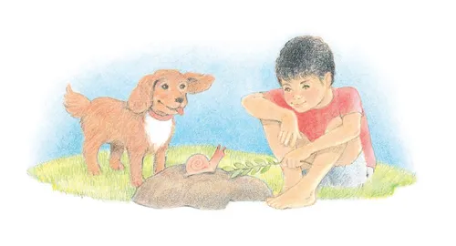 A watercolor illustration of a boy wearing shorts and a red T-shirt, tickling a snail with a small branch of leaves. A dog is nearby.