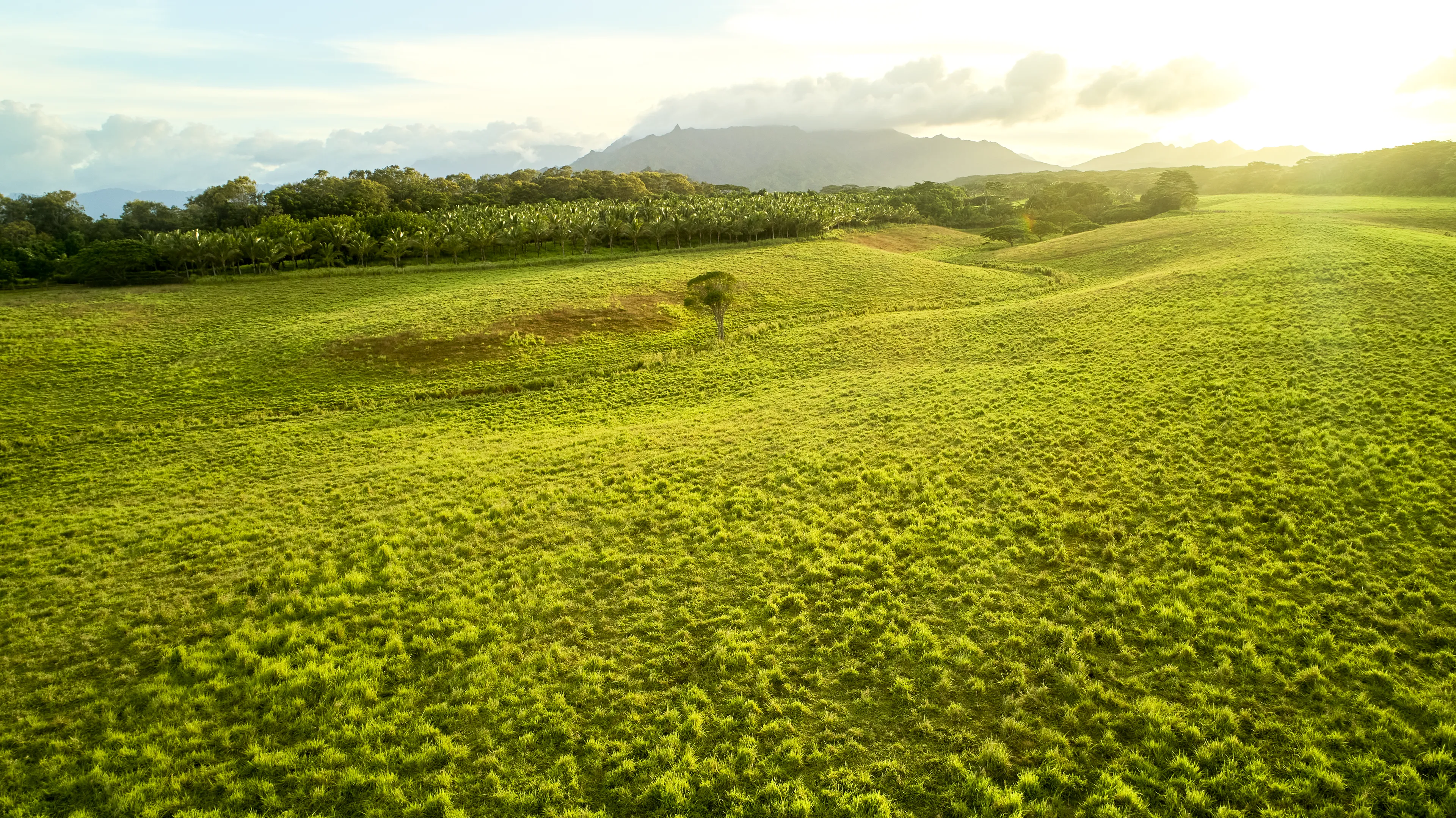 The land of Ishmael near the waters of Sebus.