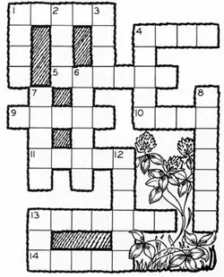 Crossword puzzle