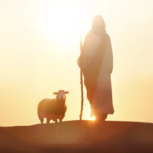 Jesus Christ as the Good Shepherd