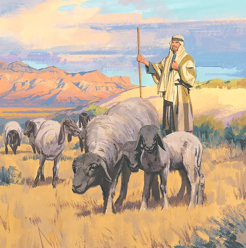 shepherd with sheep