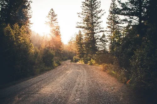 A dirt road winds through a forest a sunset showing God's hand in all things