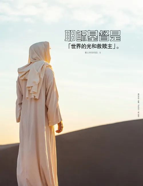 海报：「光和救赎主」