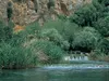 headwaters of Jordan River