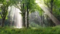 A pillar of light shines down from heaven onto Joseph Smith in a forest during the First Vision