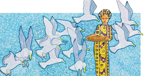 woman feeding seagulls