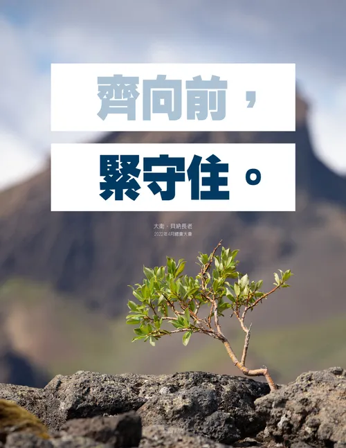 海報：生長在岩縫中的植物